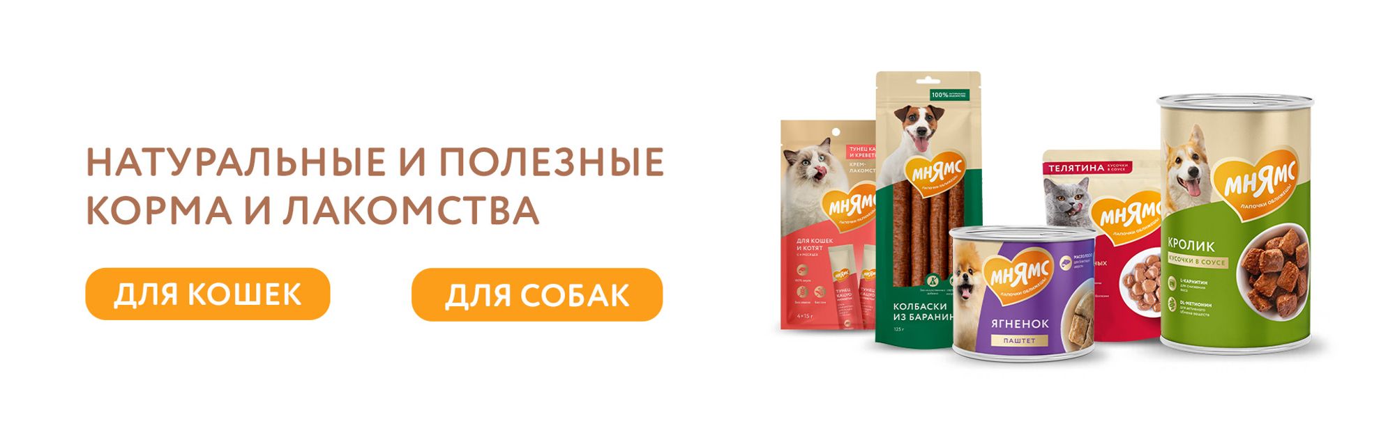 Баннеры Блок 16