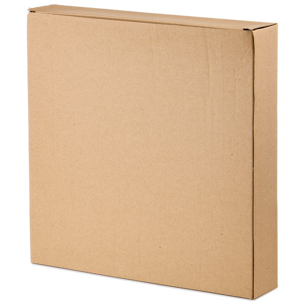 НАБОР ТАРЕЛОК ОБЕДЕННЫХ КОЛЛЕКЦИЯ "PINE CONES", 2 ШТ. / 25*25*2,3 СМ