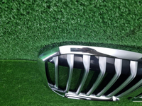 Решетка радиатора BMW X7 G07 (2019-2022)