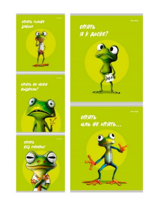 Тетрадь 48 л. клетка ПРОФ-ПРЕСС Жабка (48-8350)