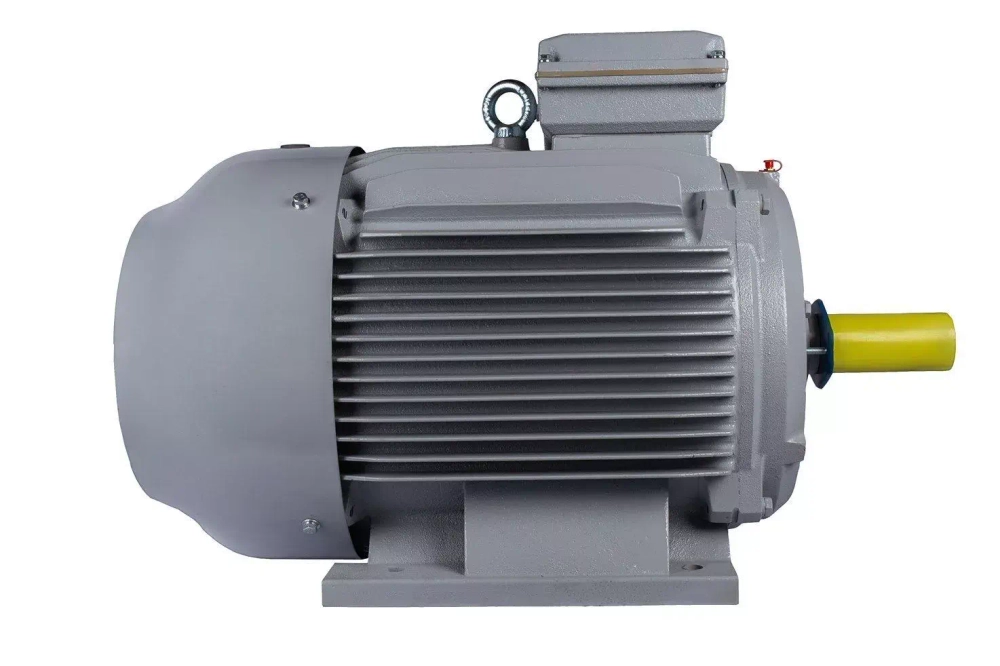 Электродвигатель ESQ PR 315 S4-SDN-Б1-S12-IE3 110/1500 IMB3