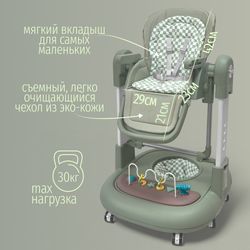 Многофункциональный стульчик для кормления 5в1 William