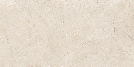 60x120 MoonLight Греж Матовый R10A Ректификат