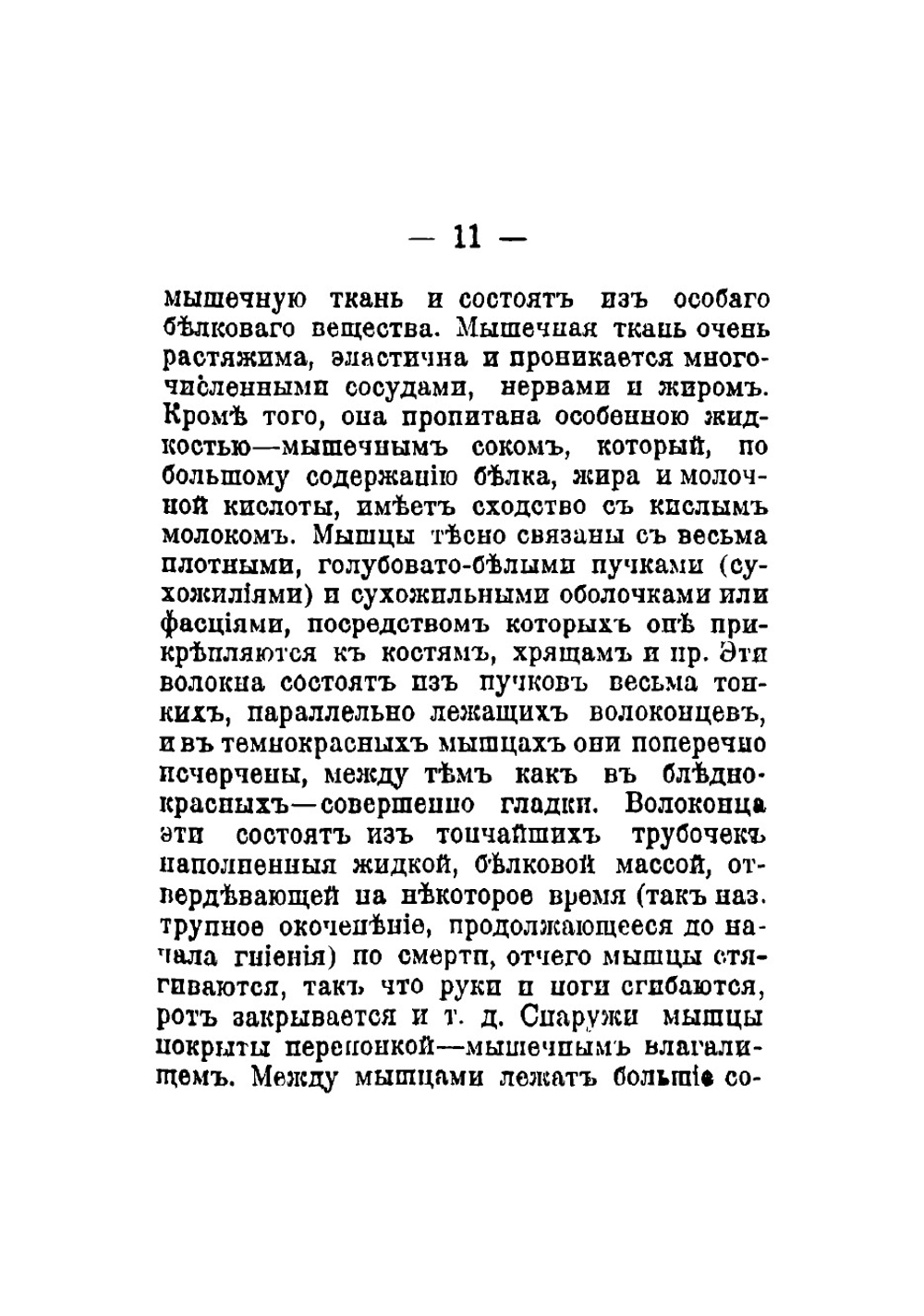 Общедоступный народный лечебник. Руководство для врачевания от всех болезней взрослых и детей без помощи врача | Павловский Владимир Михайлович