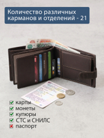 B240036R CASTANHO - Портмоне с RFID защитой MP