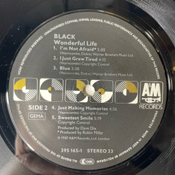 Винтажная виниловая пластинка LP Black Wonderful Life (Германия 1987)