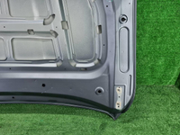 Капот Geely Tugella (2019-н.в.)