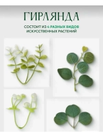 Лиана Эвкалипт папоротник