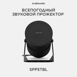 CVGAUDIO SPP5TBL Звуковой прожектор для систем Public Address