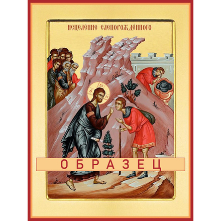 Исцеление слепорожденного Сп-41 (сп/И/1/1)