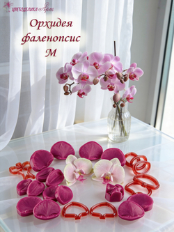 Орхидея фаленопсис M (+боковые лепестки размера S)
