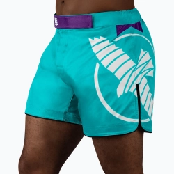 Шорты Hayabusa Icon MMA бирюзовые