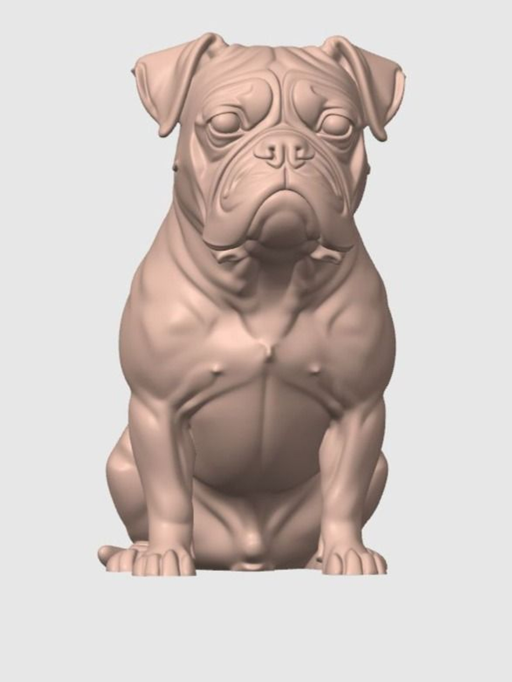 Boxer