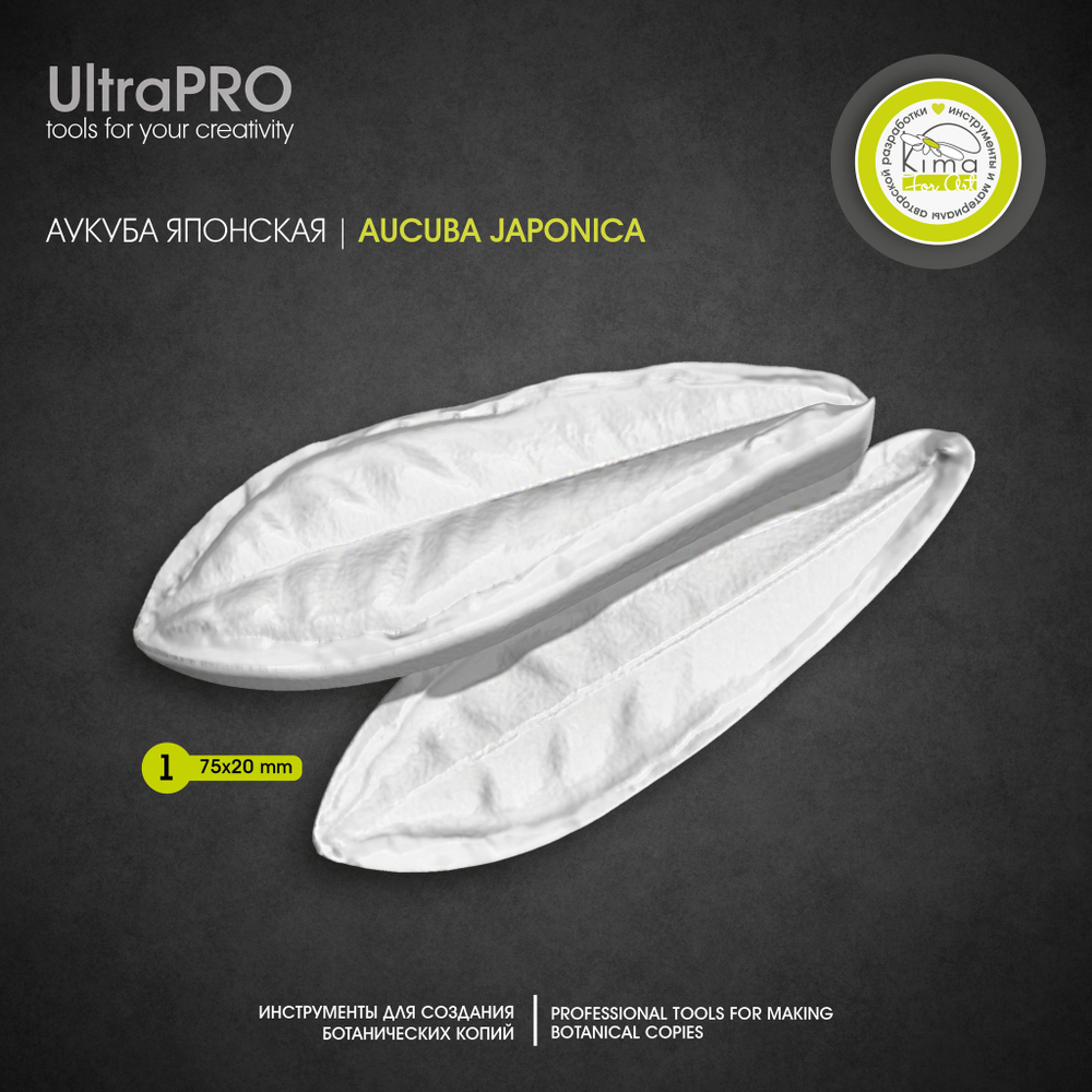 Аукуба японская