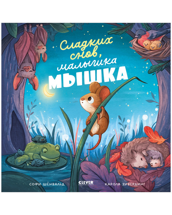 Книжки-картинки. Сладких снов, малышка мышка!