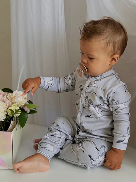 Комбинезон LooJoo Журавли