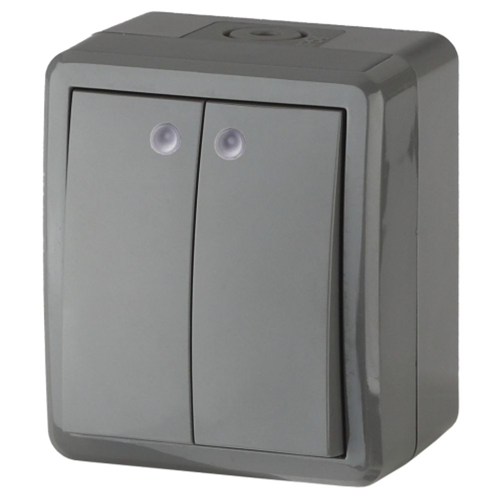 Выключатель ЭРА Эксперт 11-1405-03 двойной с подсветкой IP54 10АХ-250В ОУ серый