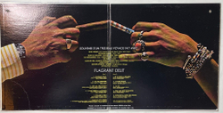 Винтажная виниловая пластинка LP Johnny Hallyday Flagrant Delit (Canada 1971)