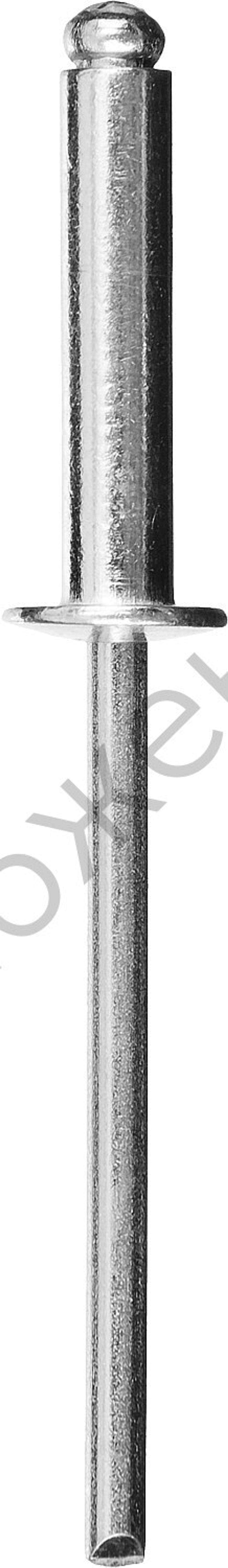 STAYER Pro-FIX 2.4 х 6 мм, алюминиевые заклепки, 50 шт, Professional (3120-24-06)