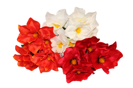 Букет магнолии раскрытой