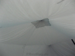 Пингвин Prizma 2--