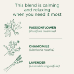 Traditional Medicinals, Organic Cup of Calm, ромашка и мята, без кофеина, 16 чайных пакетиков в упаковке, 24 г (0,85 унции)