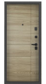 Дверь Tau LT PP-3 Torex