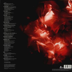 Madonna / Something To Remember (LP)