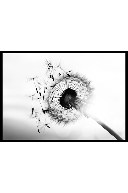 Интерьерная картина в технике цифровой печати. АРТ 023 Черное и белое