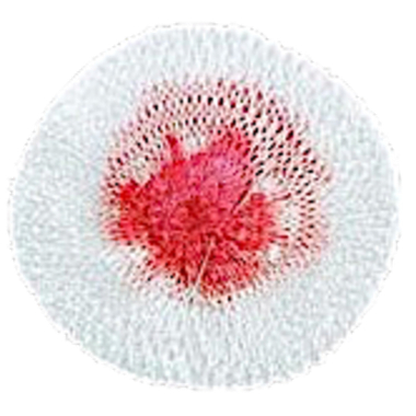 Сеточка для бензиновой лампы (мешок для мощ-ти 500C.P)  4D-Skirt