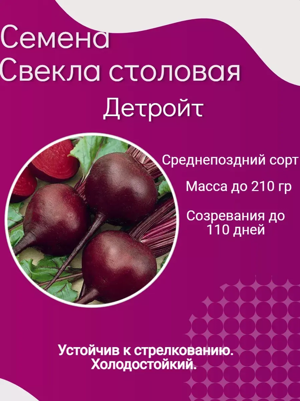 Семена Свекла столовая