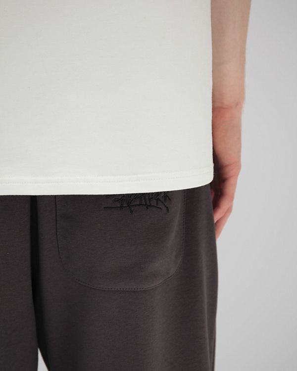 Спортивные штаны Anteater Sweatpants Darkgrey - фото 5