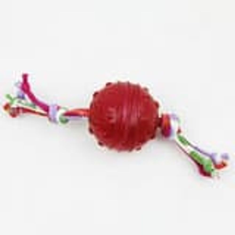 SuperDesign игрушка для собак "Мячик с канатиком" силиконовый 6 см SuperDesign игрушка для собак "Мячик с канатиком" силиконовый 6 см