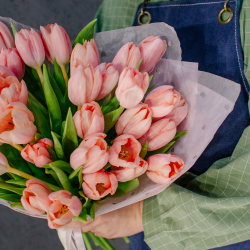 136. Крупные сортовые тюльпаны розовые персиковые
