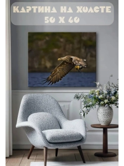 Картина на стену 40 X 50 Орлан