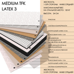 Medium TFK Latex3
