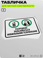 Табличка для частной территории "Разрешено пользоваться мобильными телефонами", на дом, для участка, организаций и частных территорий, предупреждающая, 40х30 см, Silver Plane x Айдентика Технолоджи