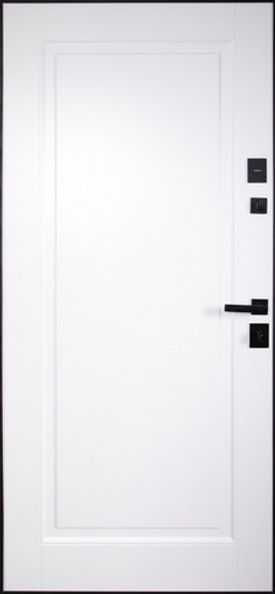 Стальная дверь "Сапсан" (адаптивная замковая часть)