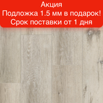 Замковая SPC-плитка Tarkett Blackwood