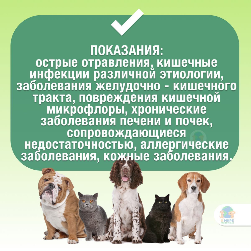 Силма ЭнтероЗоо, суспензия, при отравлении и заболеваниях ЖКТ, саше 15г, 10 шт. Полиметилоксолан.