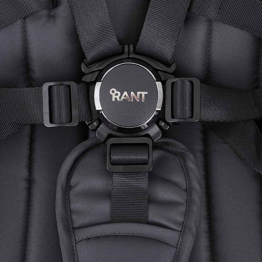 Детская коляска Rant Teo Black Chrome 2 в 1 Graphite