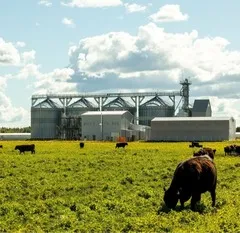 ОПТ Масло сливочное органик 82,5% / 5 кг