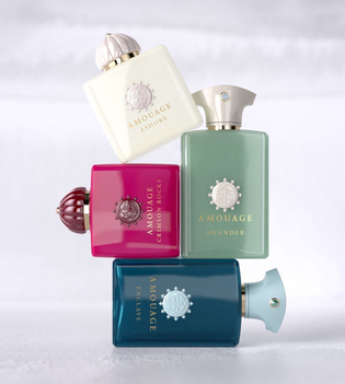 Renaissance collection