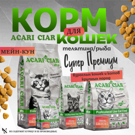 Acari Ciar А КЭТ Мейн-кун Телятина