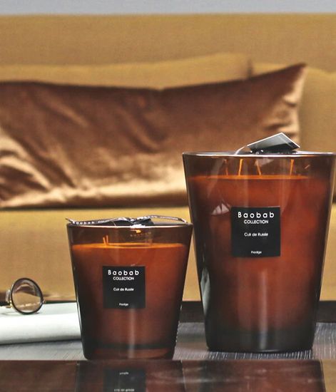 Cuir de Russie, свеча Les Prestigieuses MAX 10, Baobab Collection