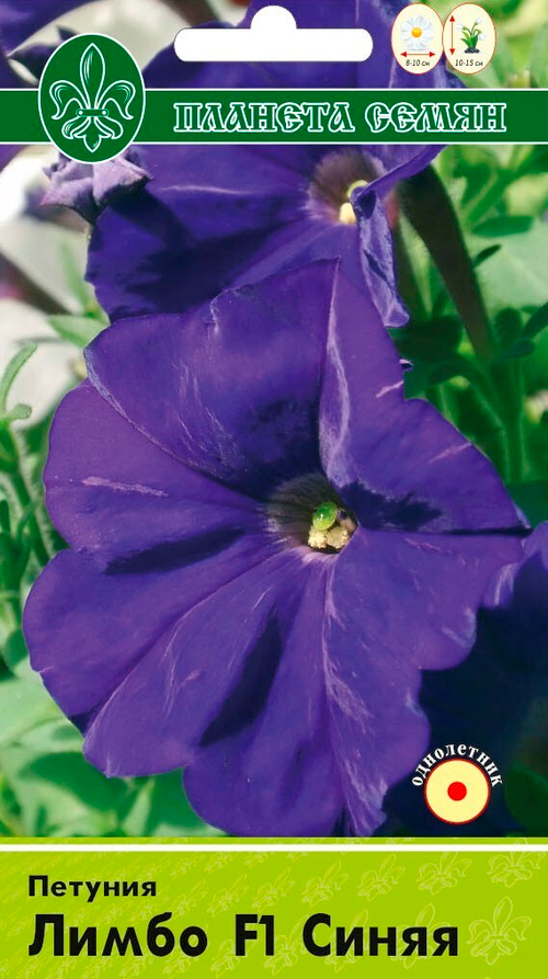 Петуния Лимбо синяя F1