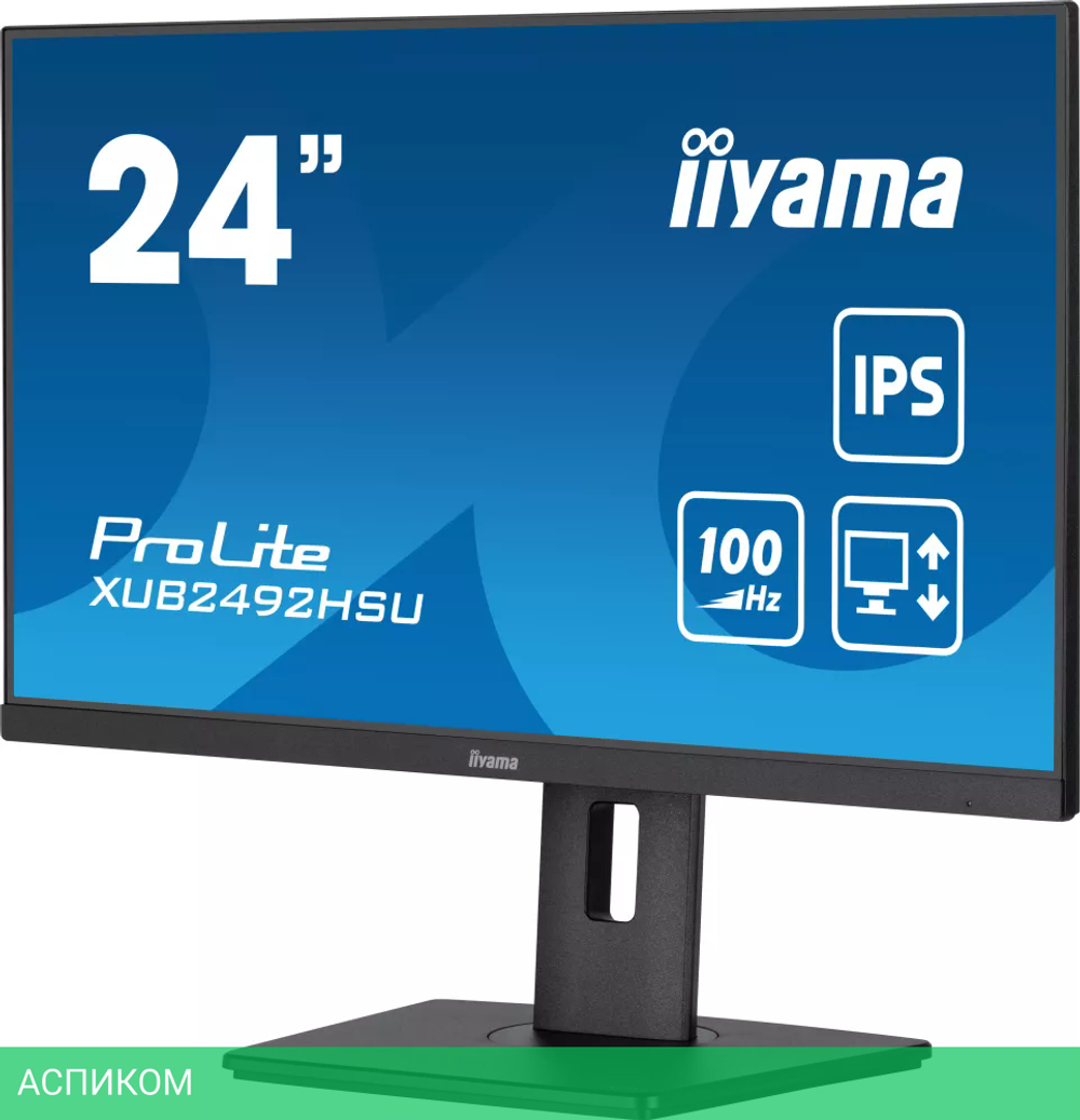 Монитор Iiyama ProLite XUB2492HSU-B6
