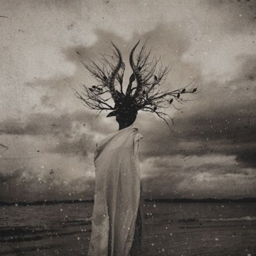 Альбом THORNAPPLE - Enlightenment