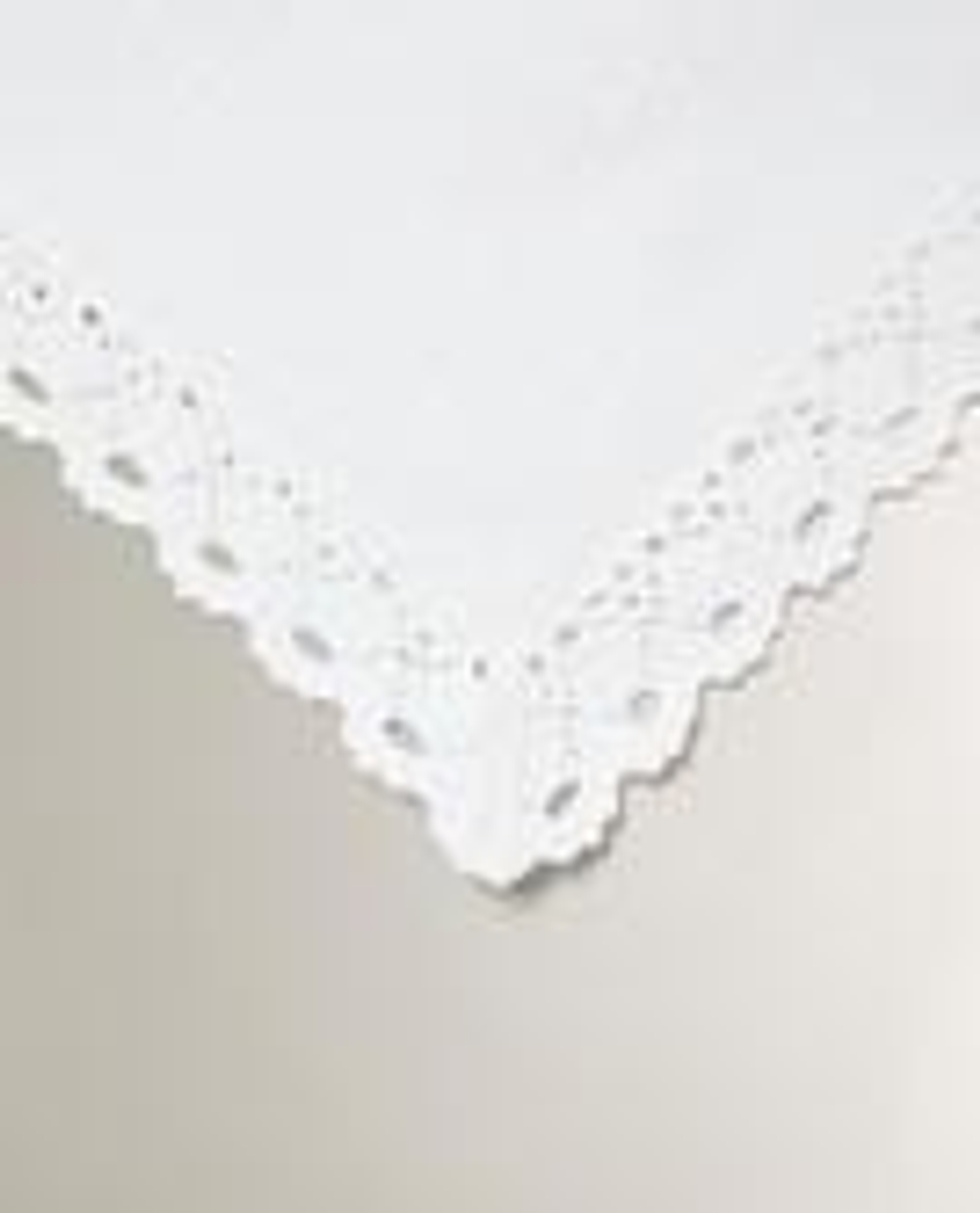 ZARA HOME САЛФЕТКИ ИЗ ХЛОПКА С ВЫШИВКОЙ И КРУЖЕВОМ (2 ШТ.), БЕЛЫЙ