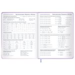 Дневник 1-11 класс 48 л., обложка кожзам (твердая с поролон), 3D-элемент, BRAUBERG, "Суровый кот", 107221